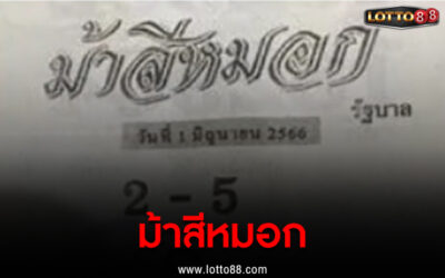 หวยซอง ม้าสีหมอก ลุ้นโชค 1- 6-66